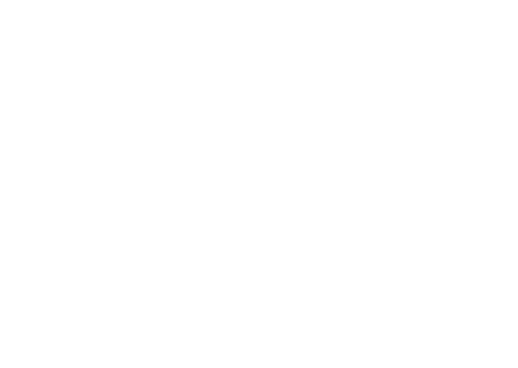 CORE
